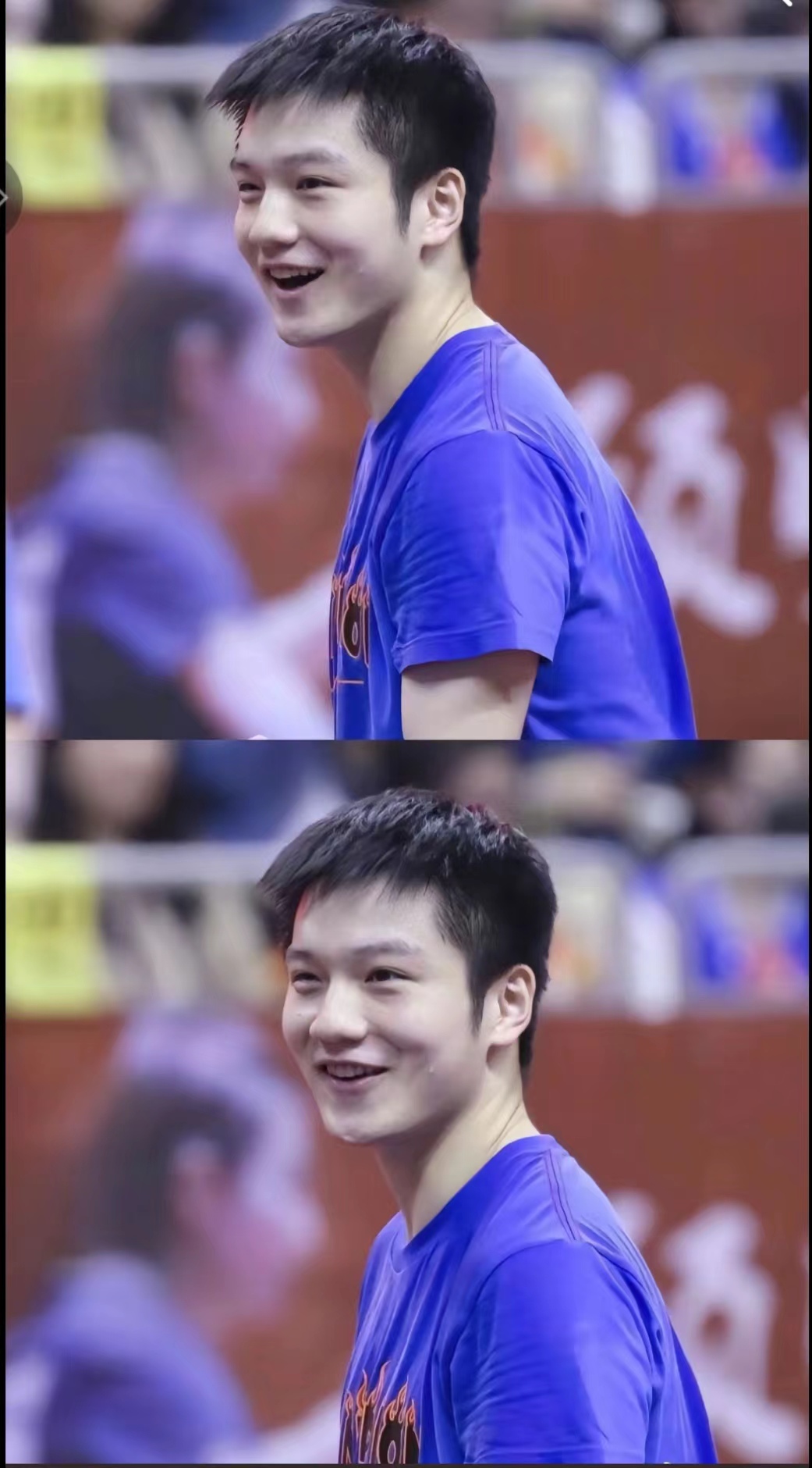 英国乒乓球队险胜中国乒乓球队,樊振东制霸全场的简单介绍 英国乒乓球队险胜中国乒乓球队,樊振东制霸全场的简单介绍