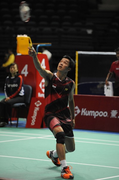 关于法国羽毛球队横扫韩国羽毛球队，陶菲克送出助攻的信息