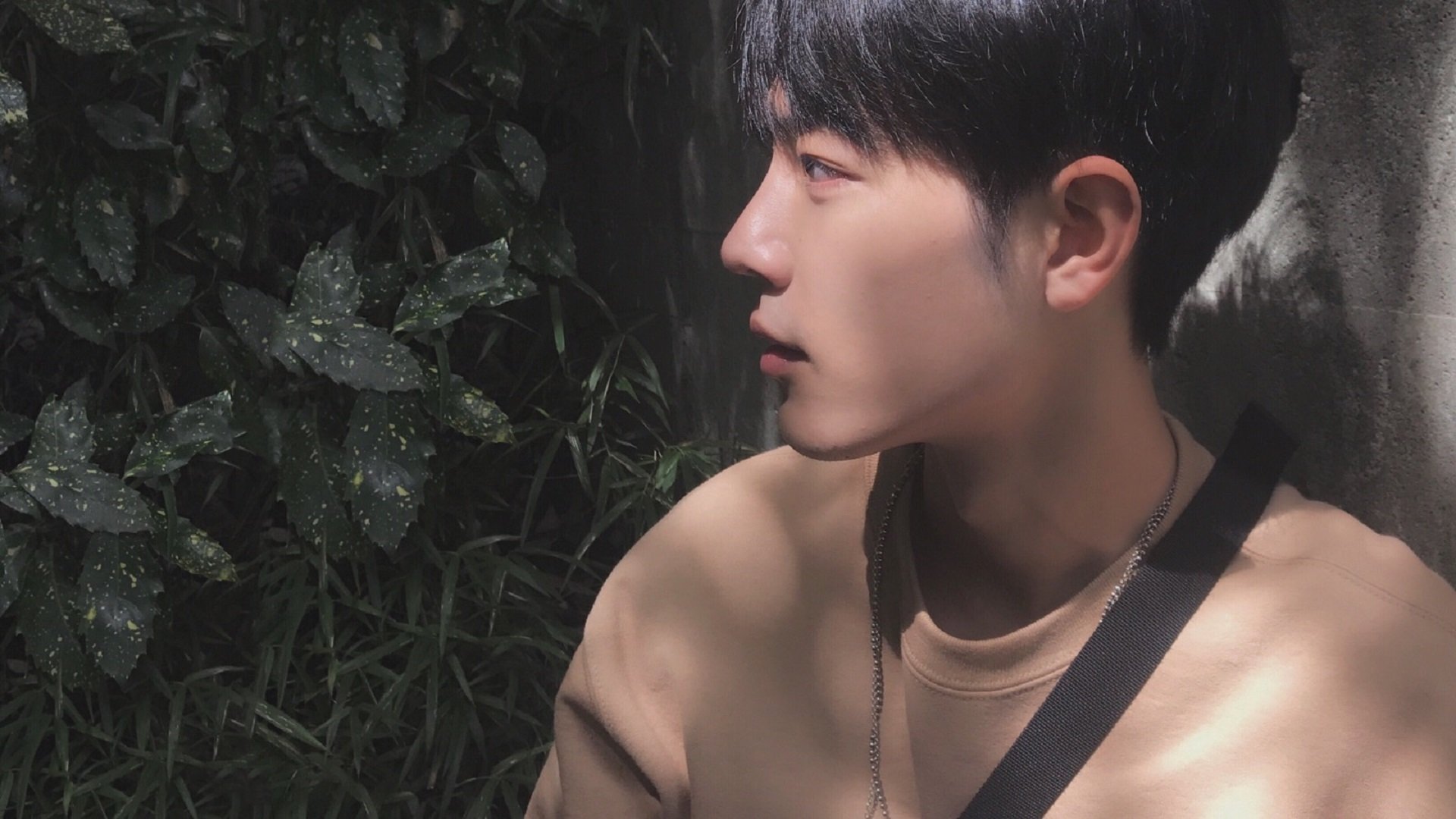 超越数据的统治力,解析小贾伦·杰克逊如何于沉寂中爆发,导演猛龙完胜