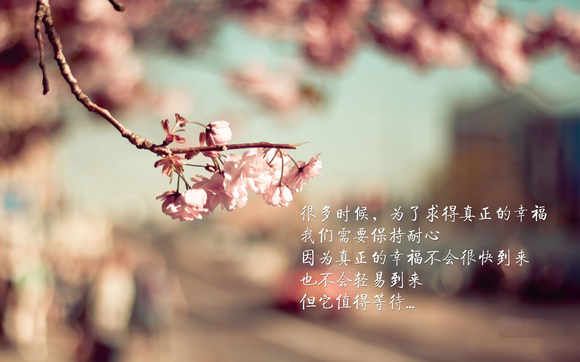 当约基奇在义乌主场发现规则已悄然改写,数据之神的凡人之夜