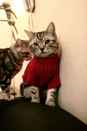 勒沃库森以精密机器碾碎尼斯，却难掩李刚仁这把锋利匕首的光芒