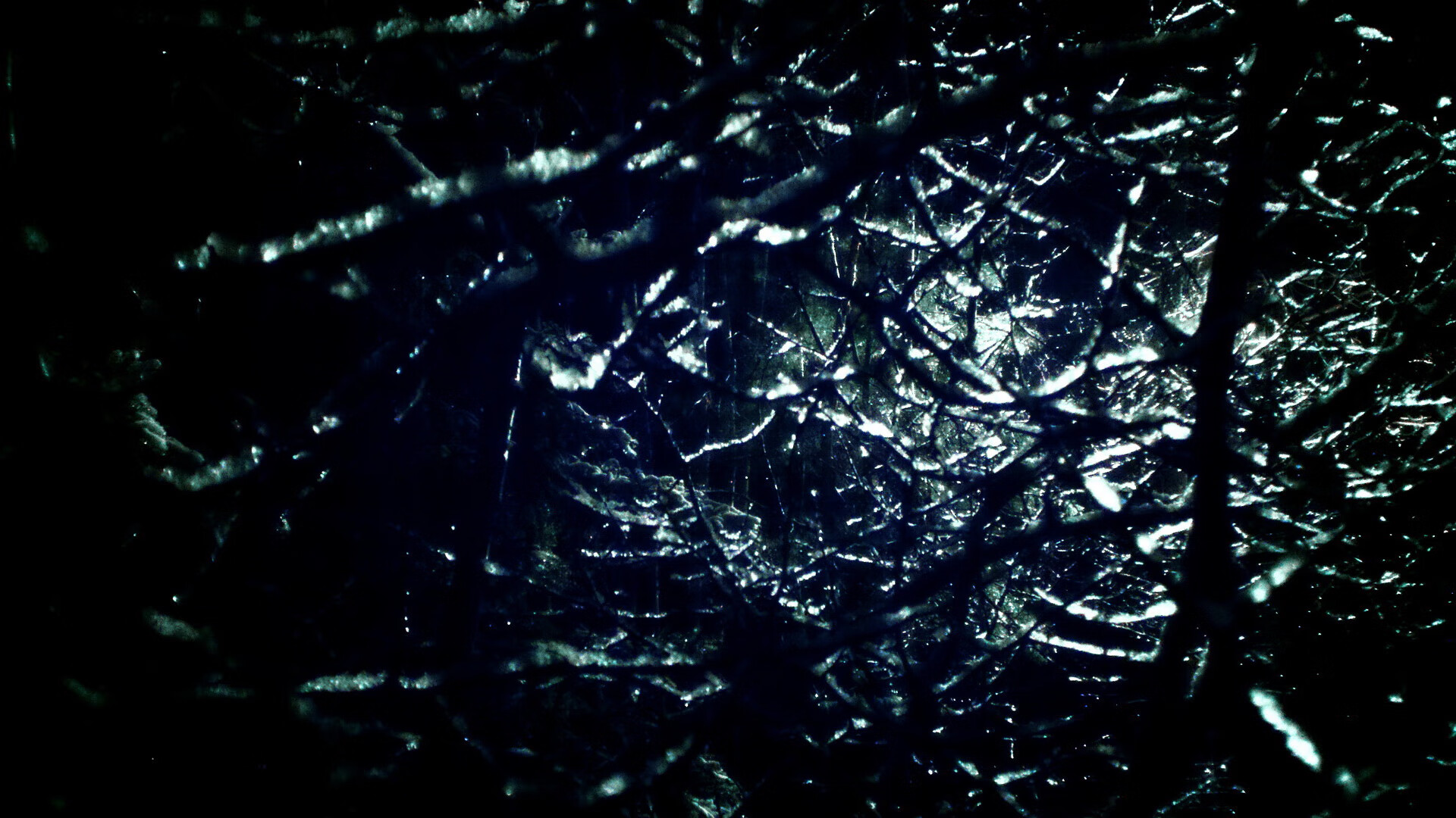 方向盘后的狙击手，当布伦森在F1新赛季揭幕战接管比赛