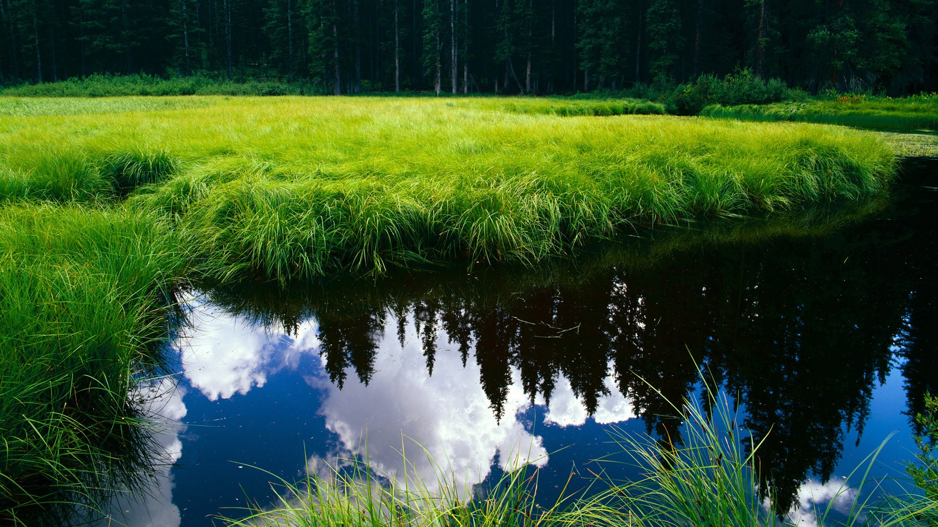 爱游戏APP-文化西决，当中国制霸埃及，基耶萨式的文化接管如何悄然上演？