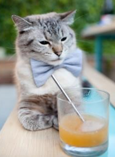 唯一性的胜利，米切尔化身胜负手，掘金强势打穿辽宁队