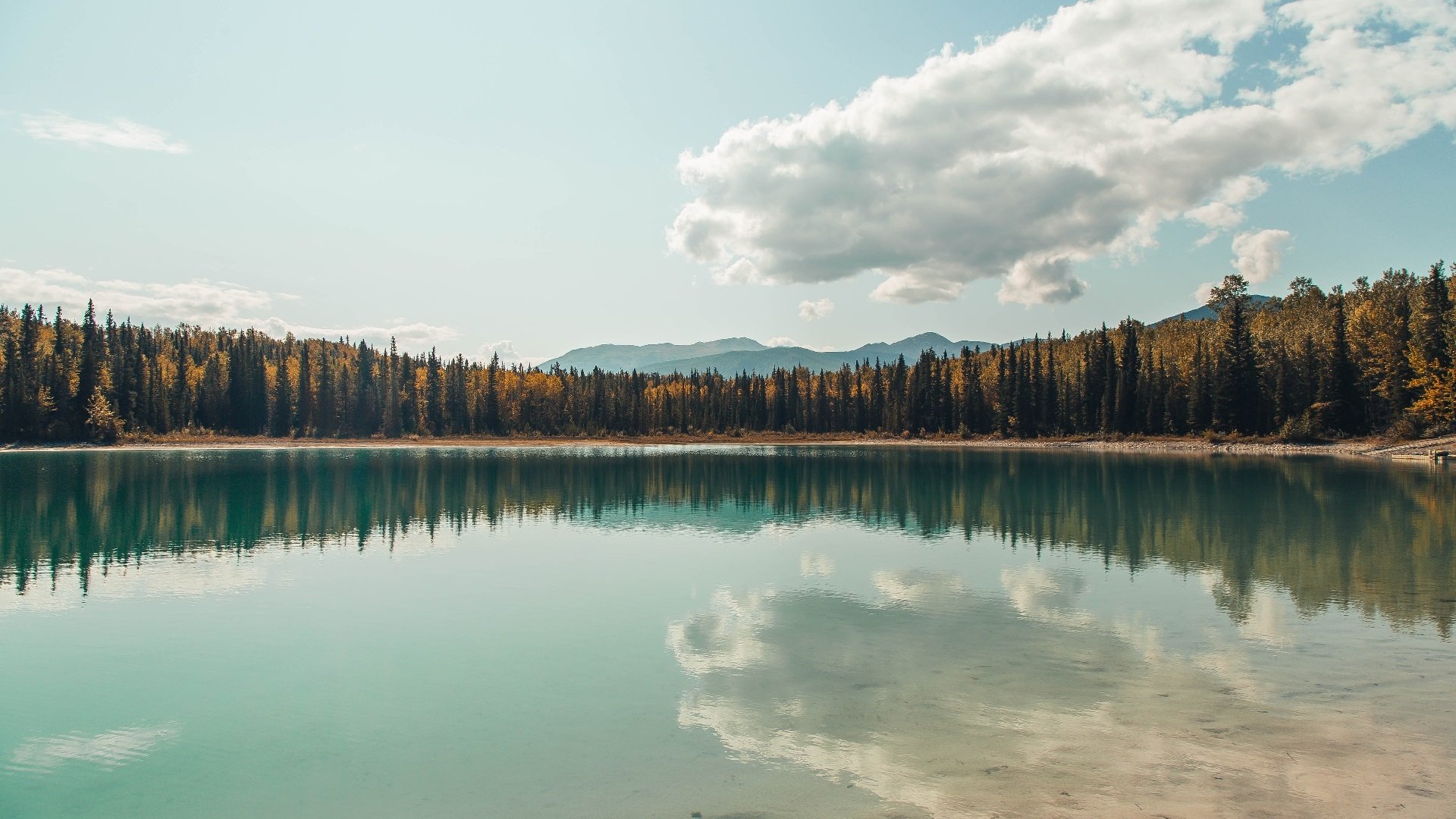西决生死战焦点战,芬兰战术压制波兰,晋级之路上的关键胜利