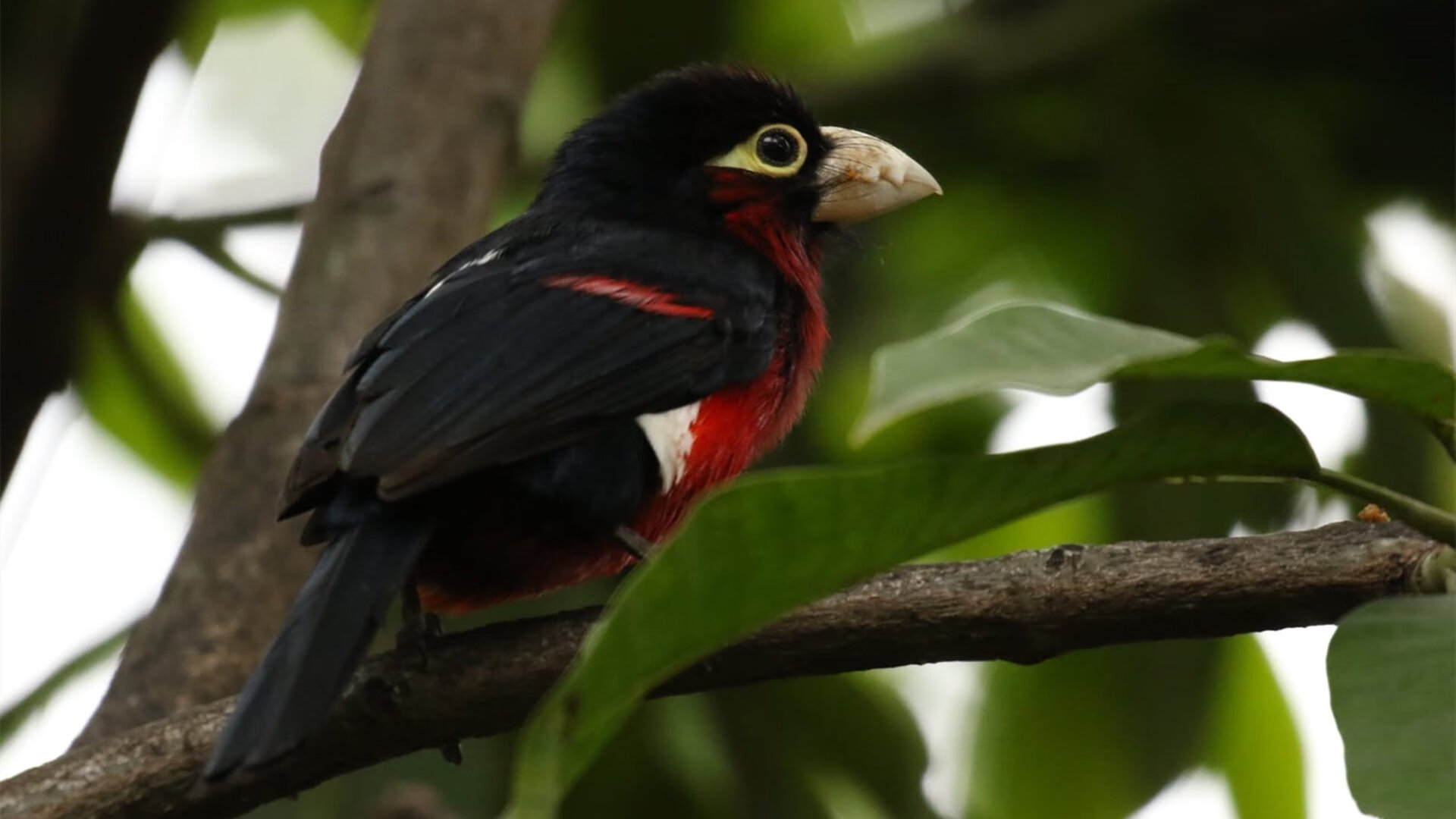扩展思维后拟定的文章标题