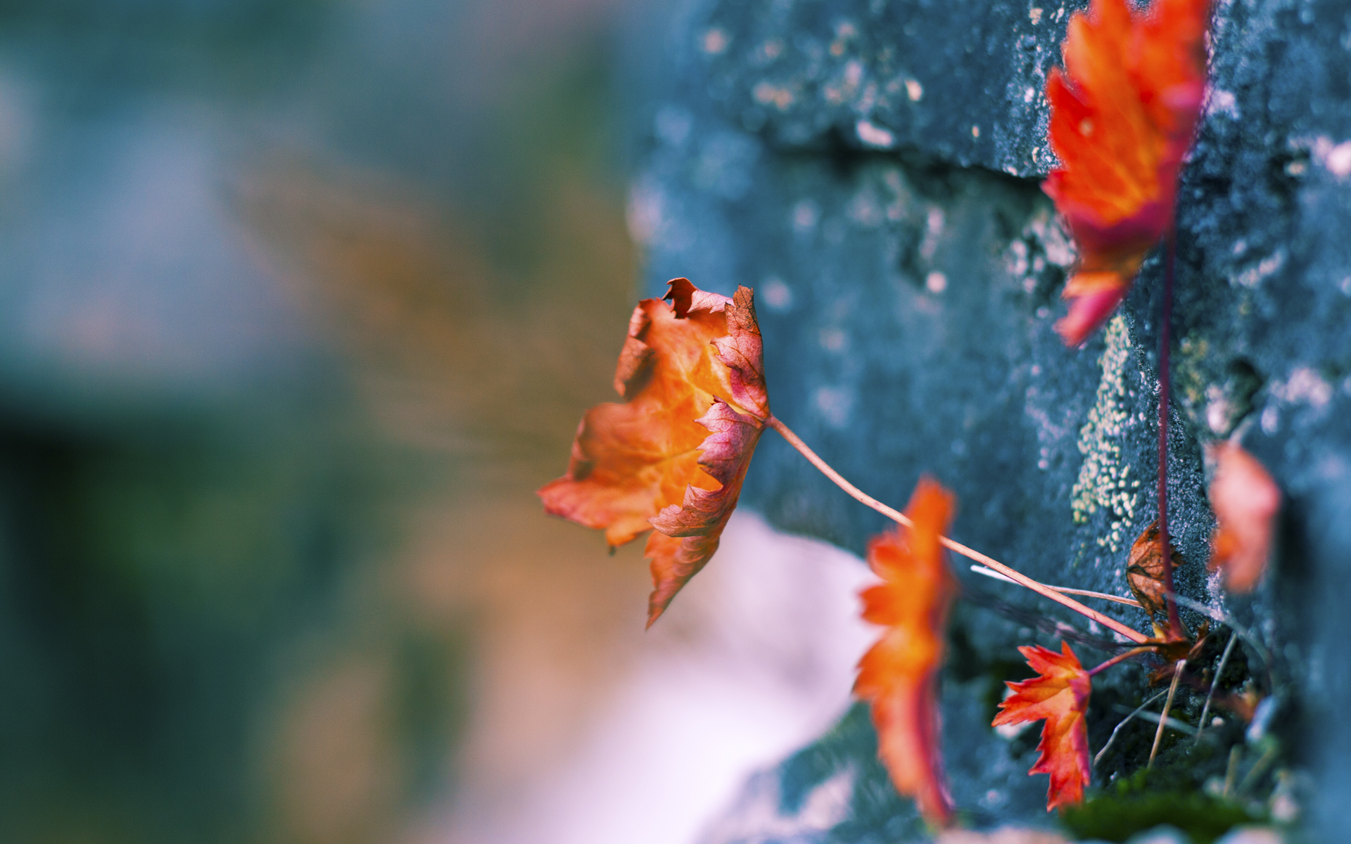 冰火淬刃，爱德华兹的十一连斩与独行侠的窒息时刻