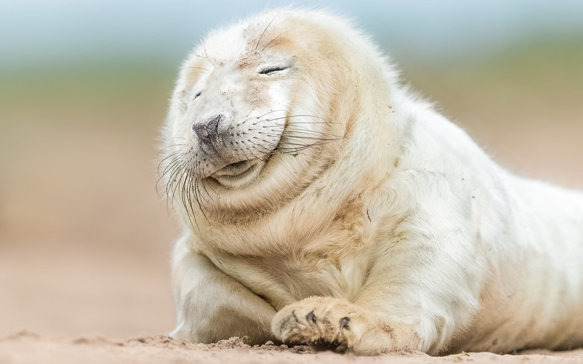 跨界风暴，老鹰逆转山西队启示录，莫兰特欧冠淘汰赛接管时代的降临