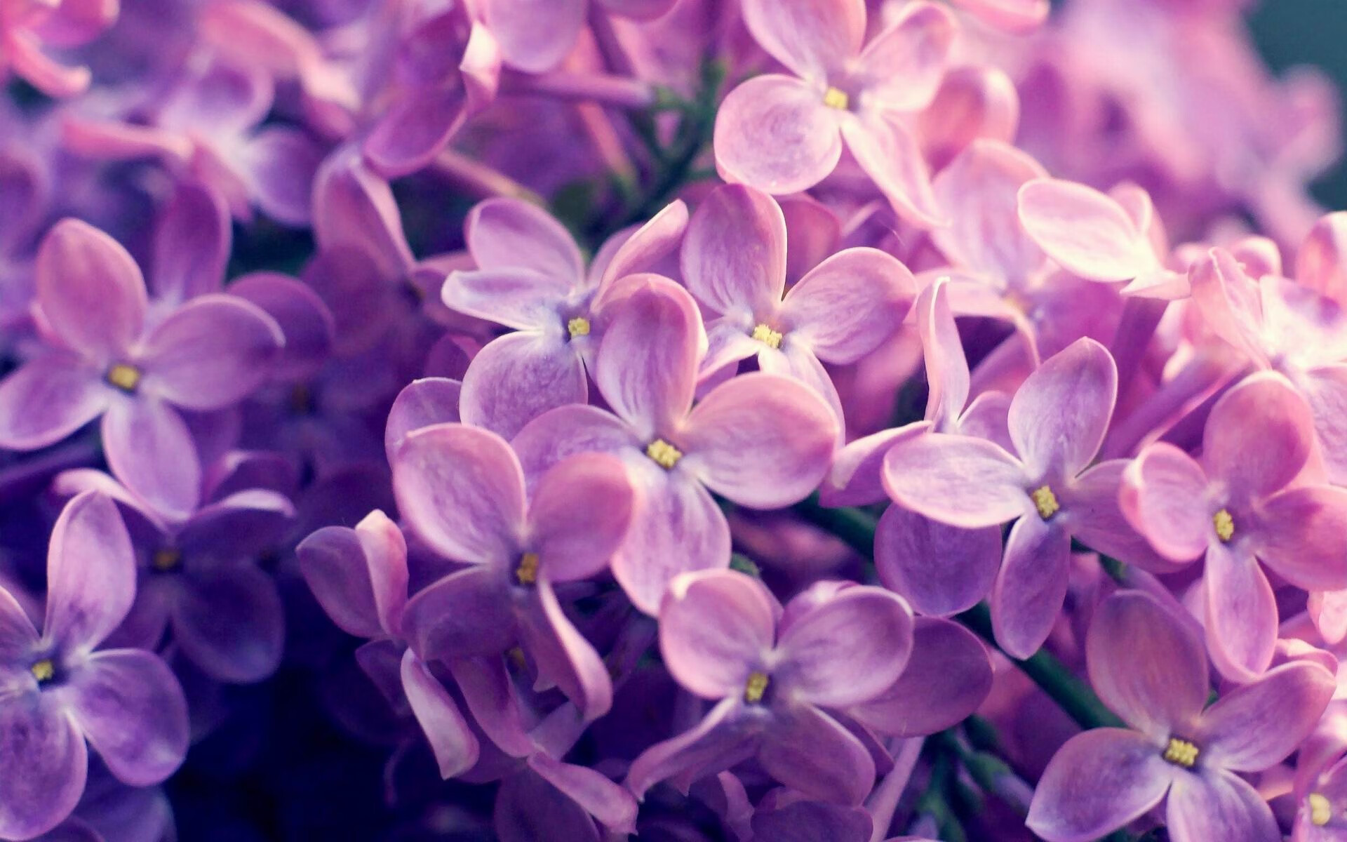 当乌拉圭的防线遇上希腊的神话—唯一穿越时空的交汇点，是18岁的李刚仁 一场2010年的世界杯对决，一次2024年的纪录刷新，唯一的连接是足球史上那记不可复制的力量传承