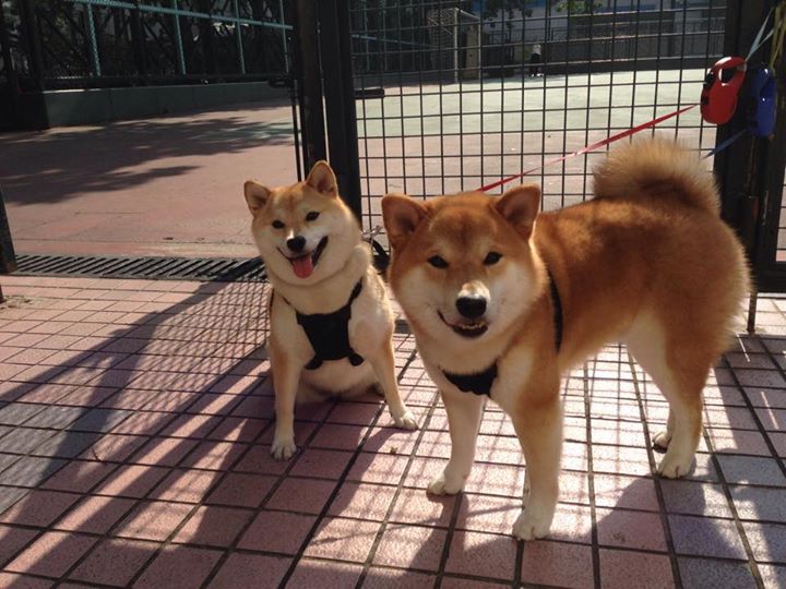 23秒独得8分！伦纳德末节爆发诠释巨星本色，独行侠稳扎稳打拿下火箭