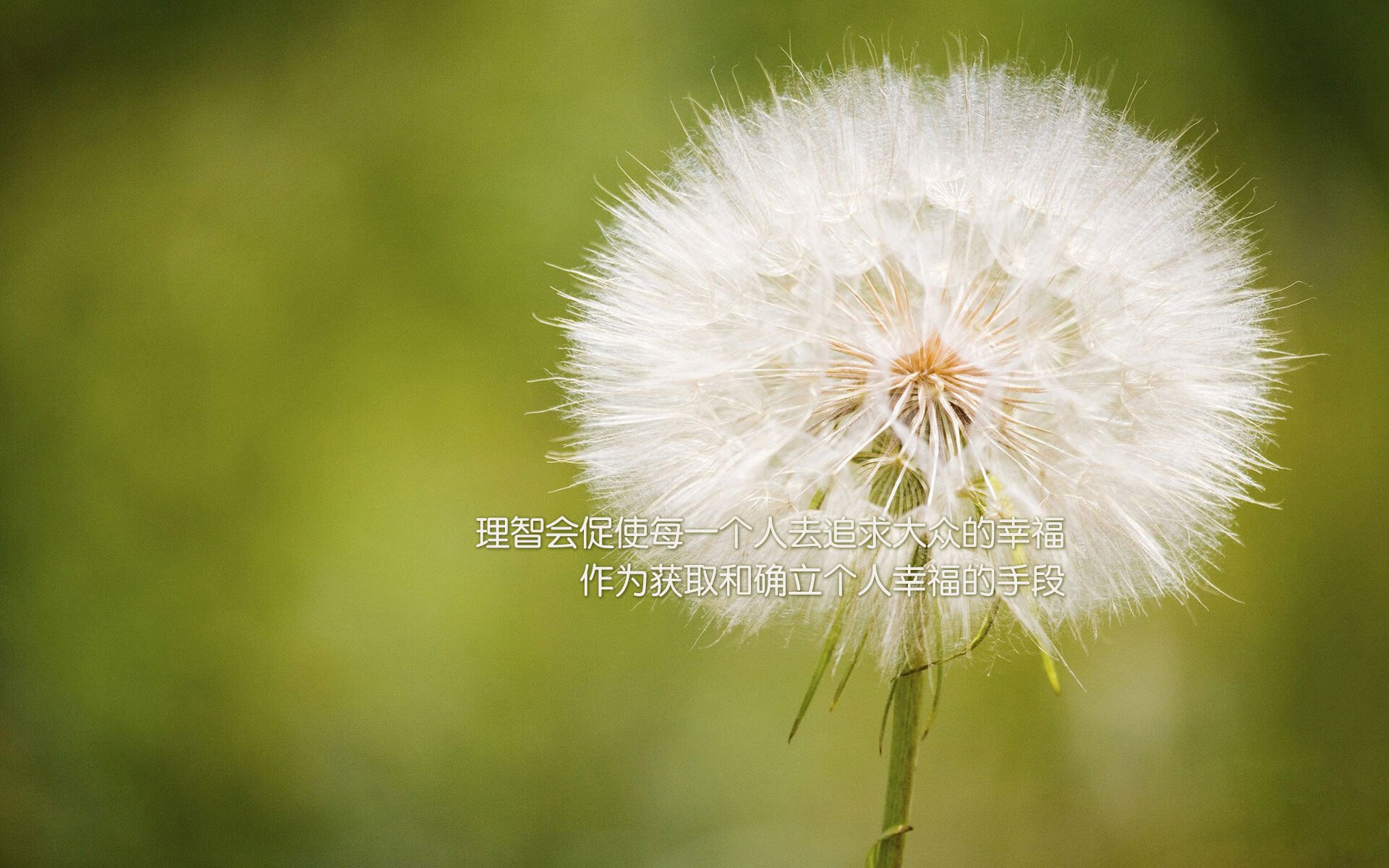 2026世界杯H组生死战，巴西逆转斯洛伐克，范戴克完成致命一击—橙衣军团的救赎与桑巴军团的悲情一夜