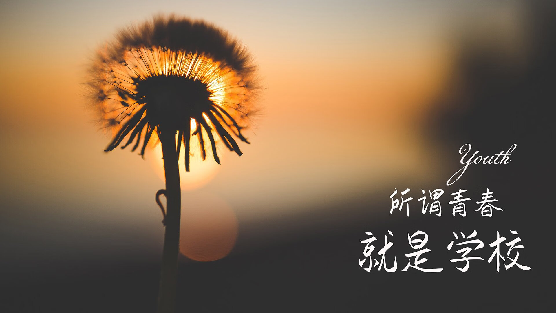 命运交叉的午后，2026世界杯B组生死战，齐耶赫的孤勇与波兰的意外滑铁卢