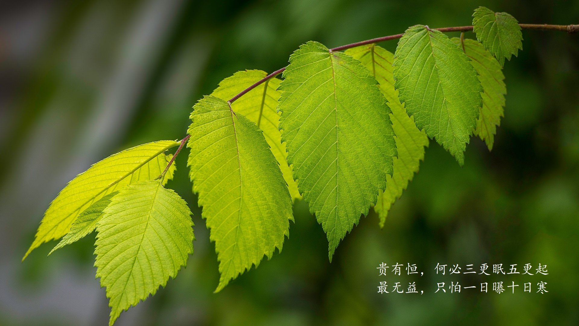 逆转与闪耀，2026世界杯唯一不可复制的强强对话之夜