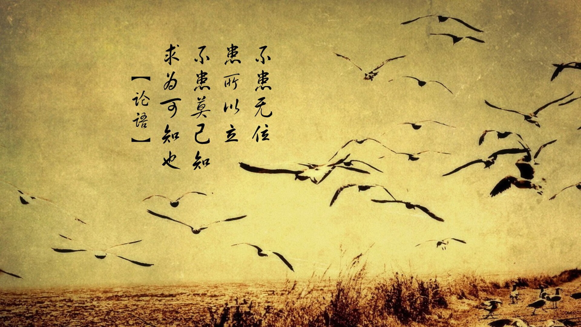 横滨之夜,当亚洲速度碾碎非洲力量,布罗佐维奇的绝杀让C组提前进入决战时刻